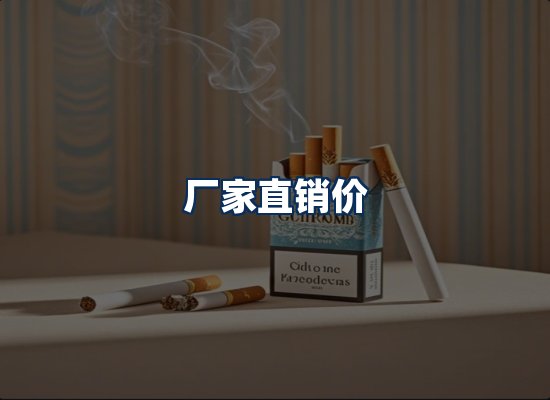 专业团队办公环境